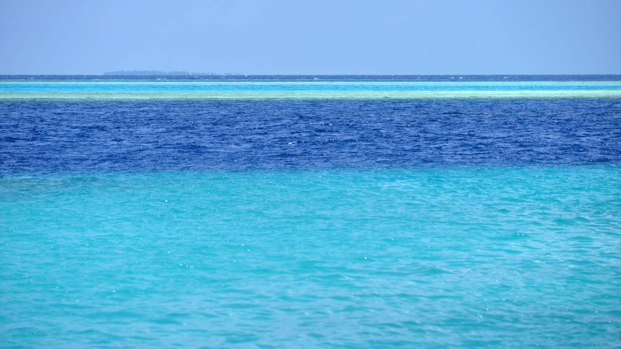 Photo of Others in Felidhoo