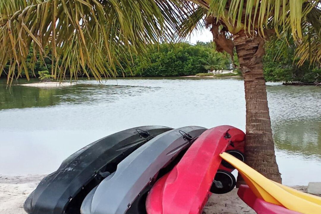 Photo of Others in Huraa