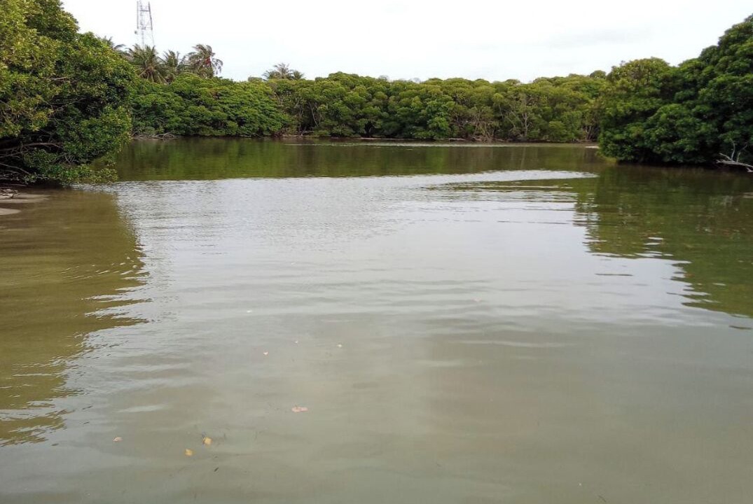 Photo of Outdoor in Huraa