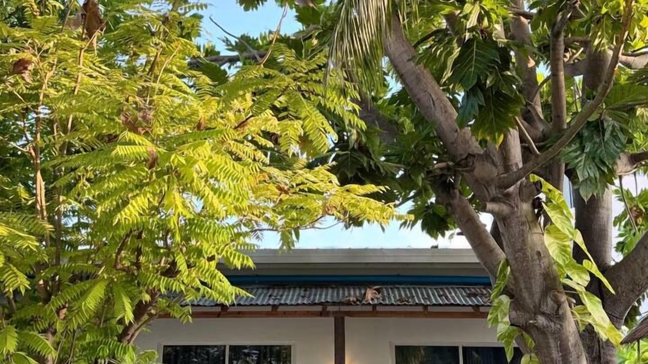 Photo of Others in Dhiffushi
