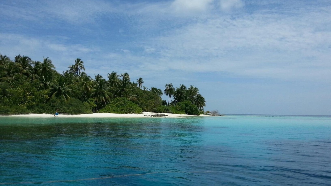 Photo of Others in Dhiffushi
