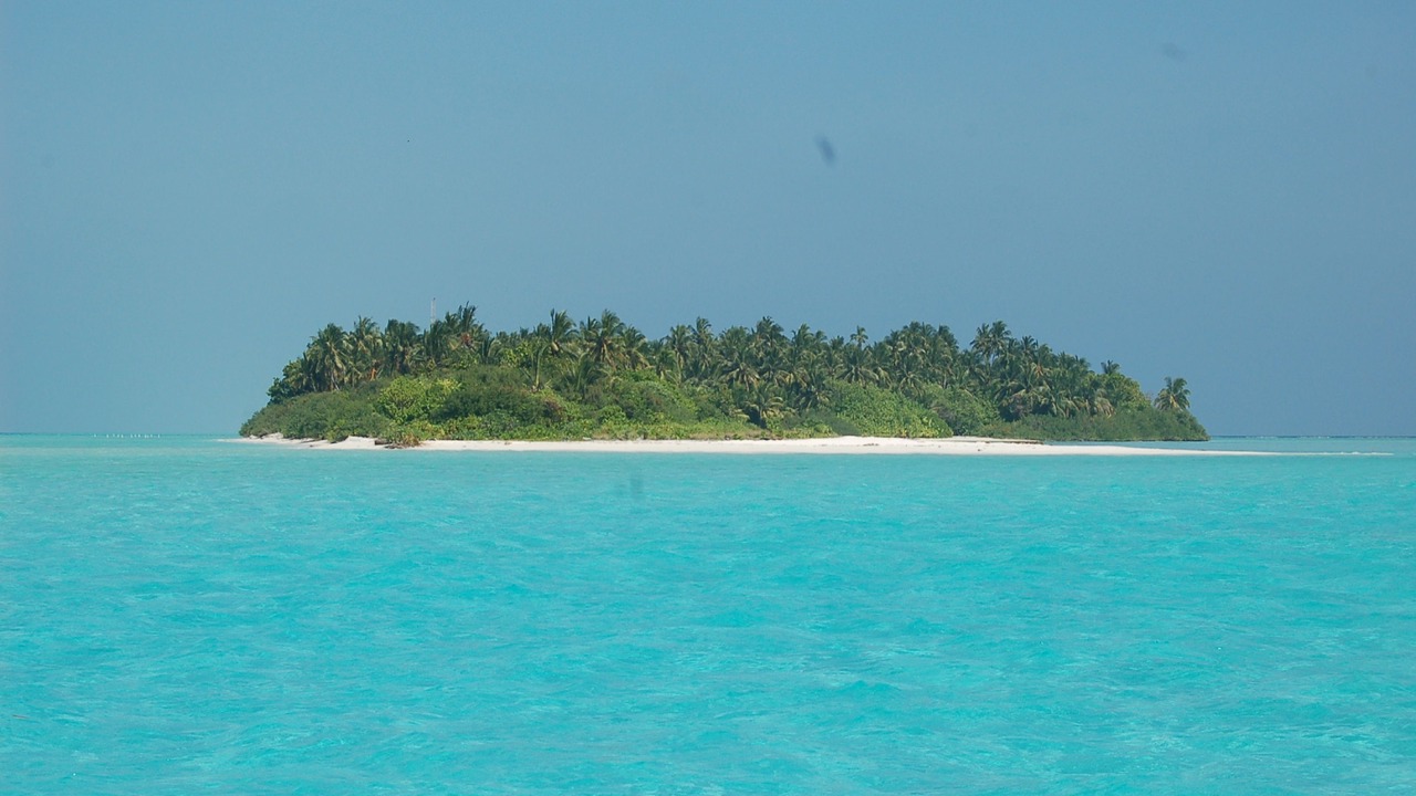Photo of Others in Felidhoo