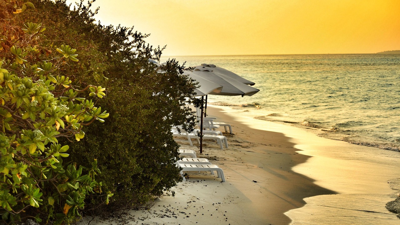 Photo of Others in Dhiffushi