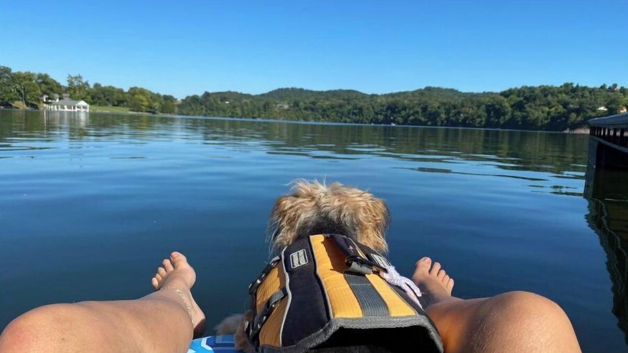 Photo of Others in Johnson City