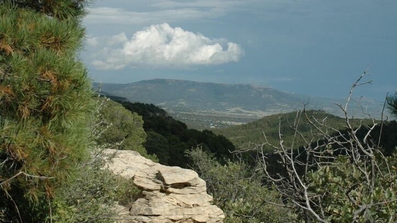 Photo of Others in Raton