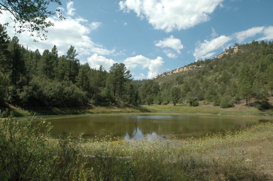 Photo of Others in Raton