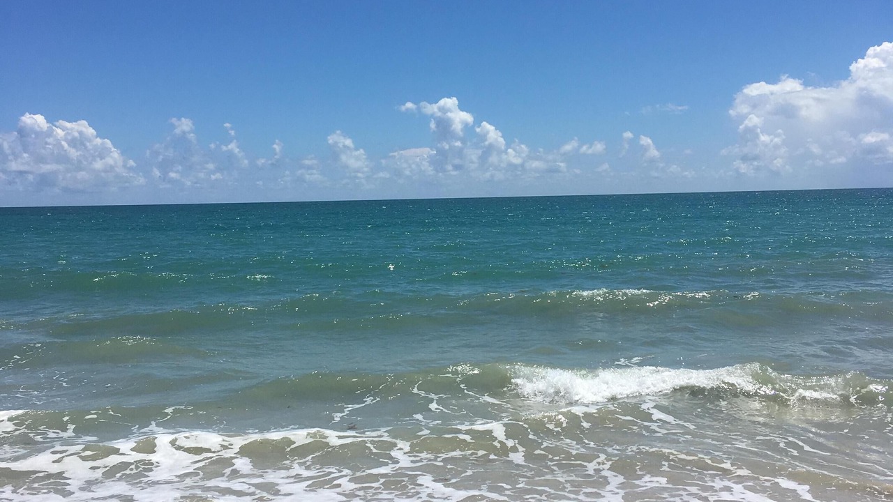 Photo of Others in South Beach
