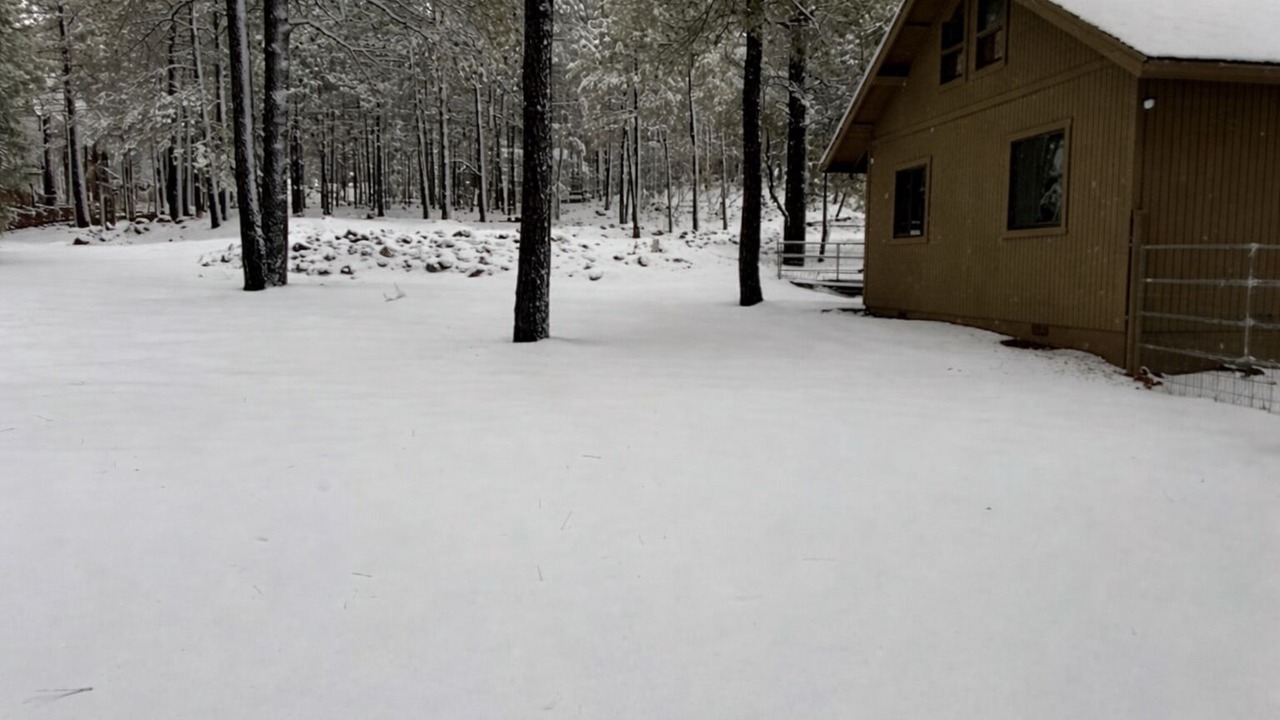 Photo of Outdoor in Munds Park