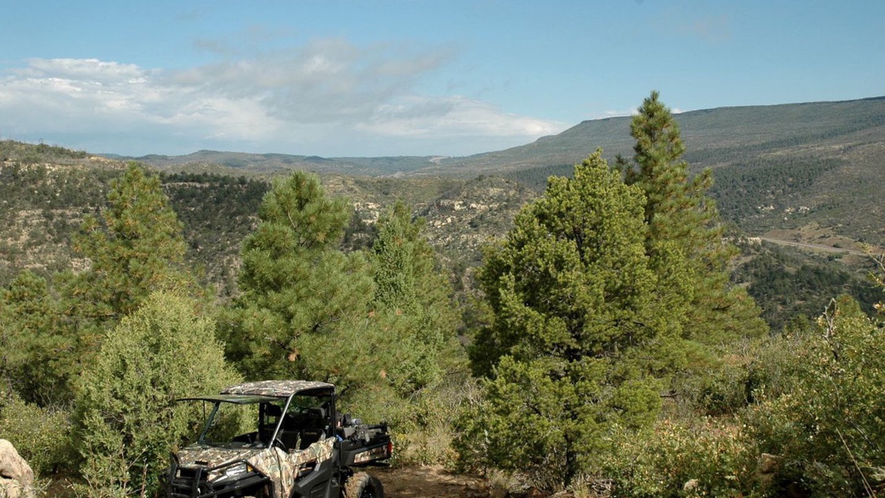 Photo of Others in Raton