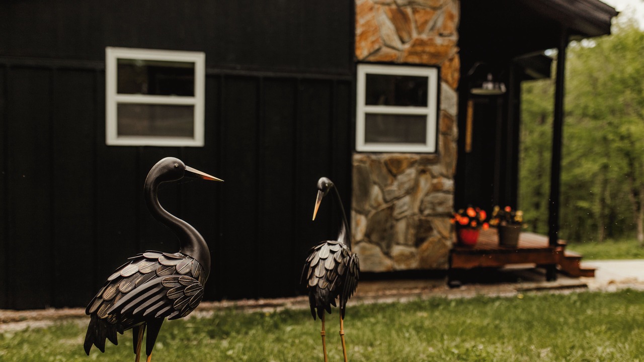 Photo of Outdoor in De Soto