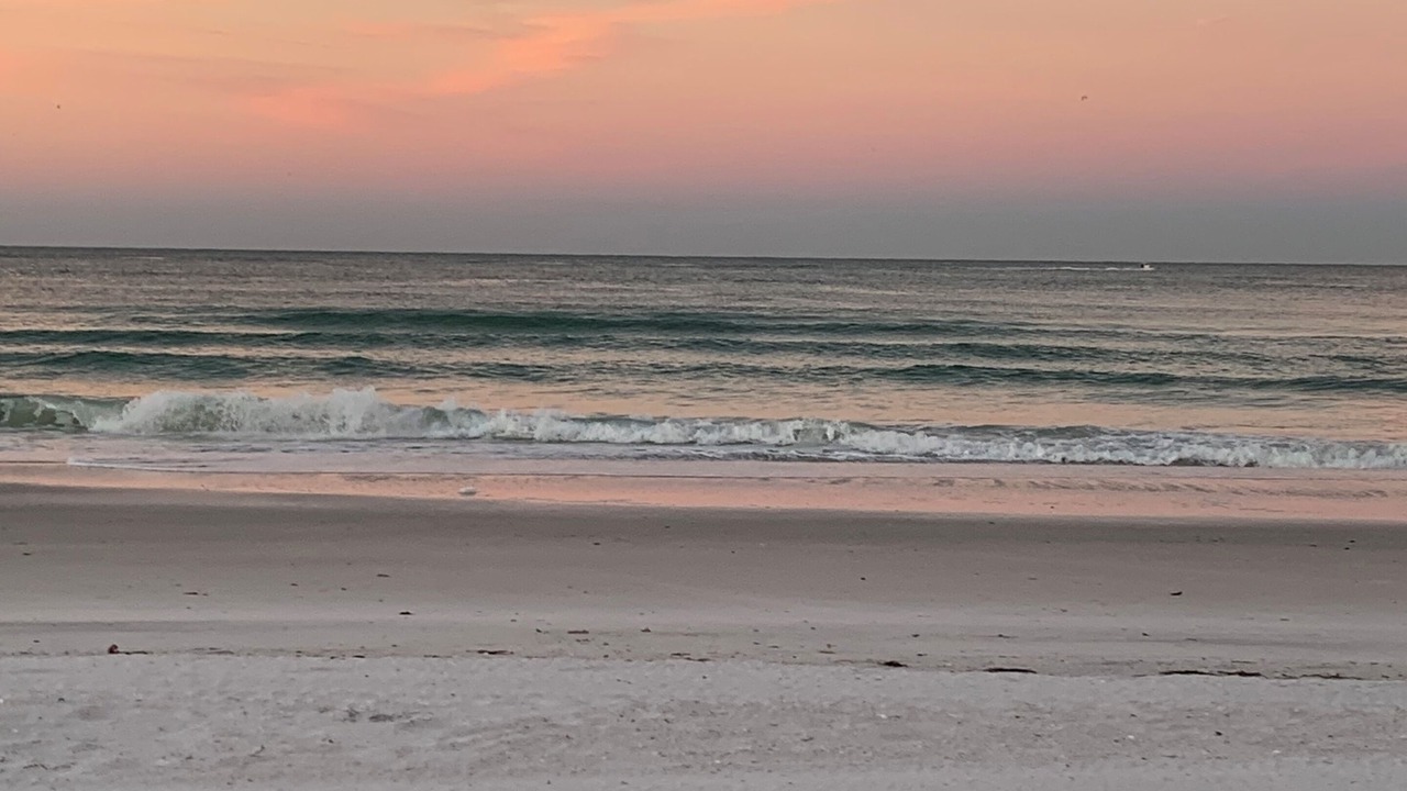 Photo of Others in Bradenton Beach