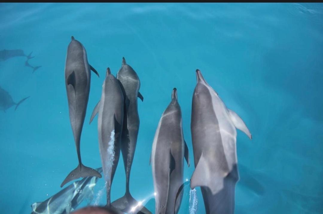 Photo of Others in Ukulhas