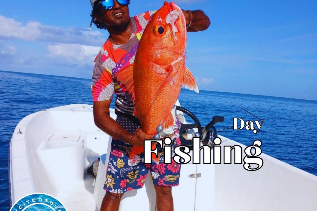 Photo of Others in Dhiffushi