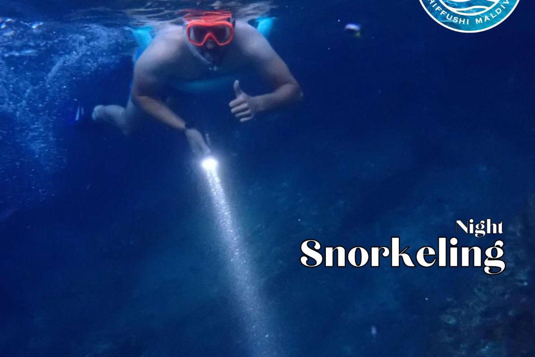 Photo of Others in Dhiffushi