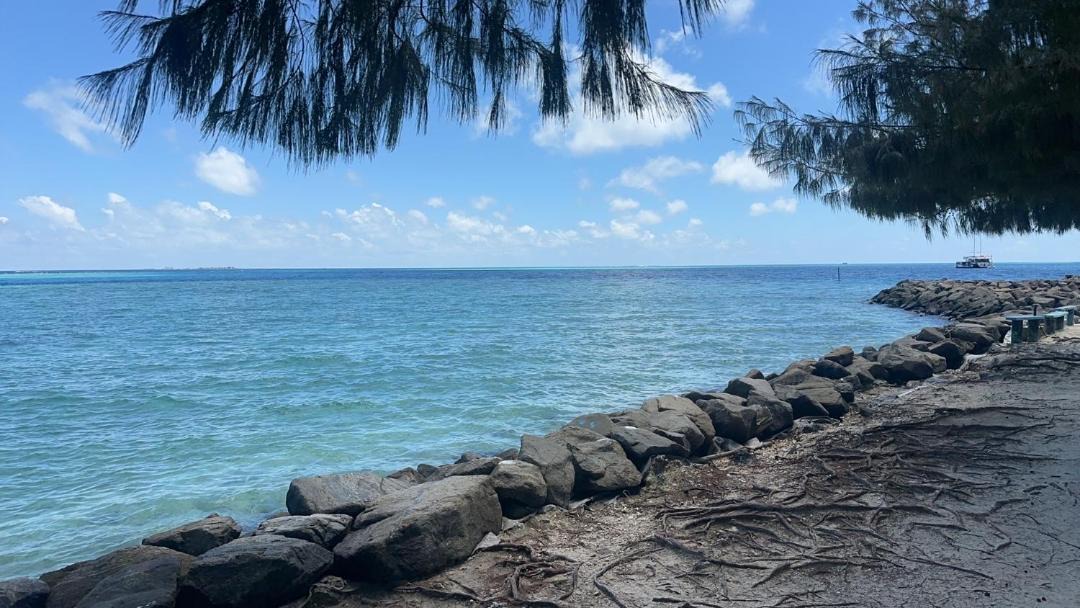 Photo of Others in Cocoa Island