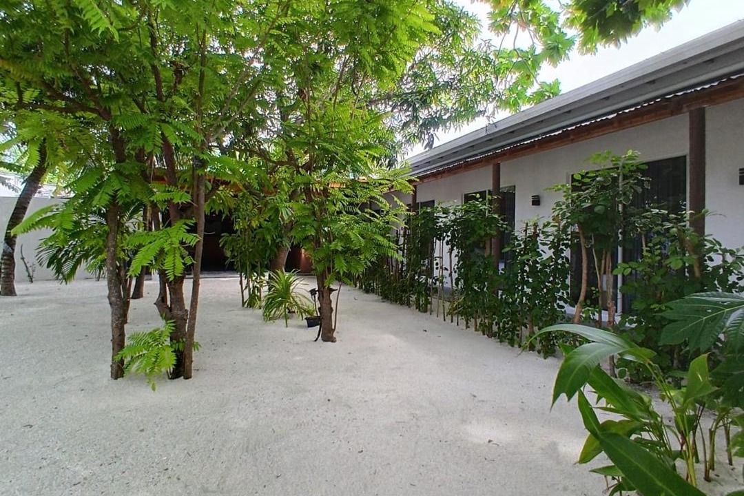 Photo of Others in Dhiffushi