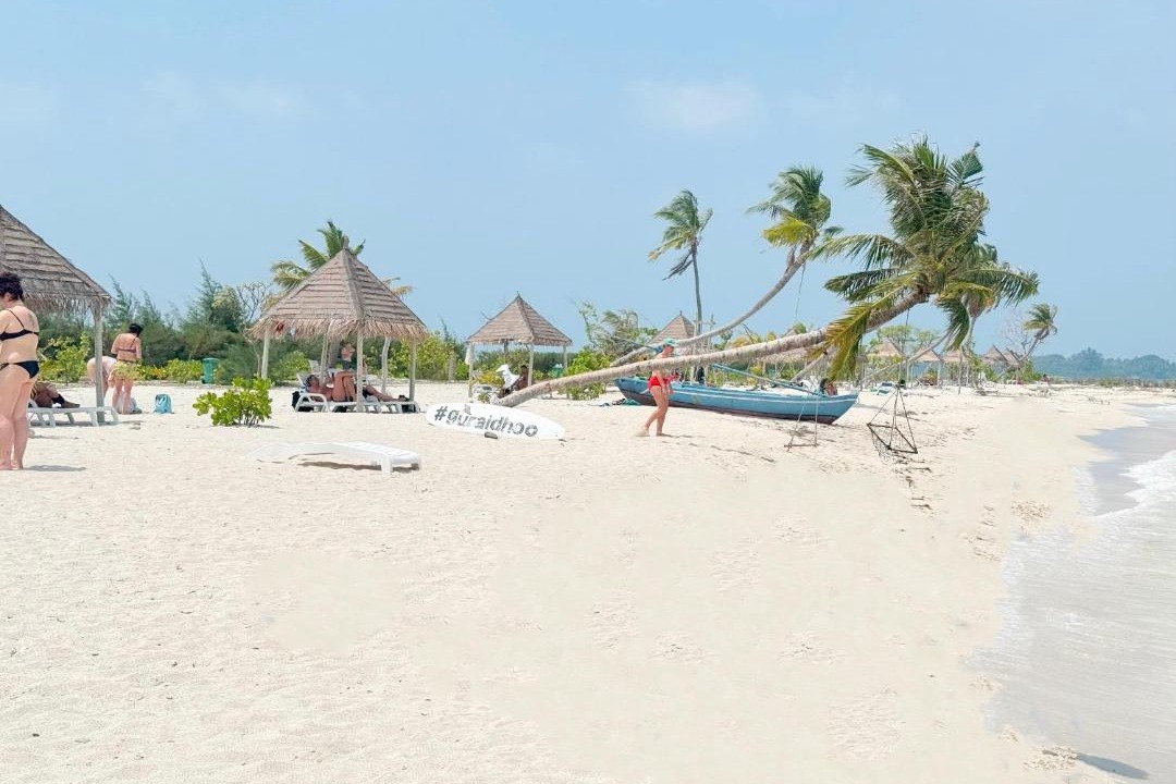 Photo of Others in Guraidhoo