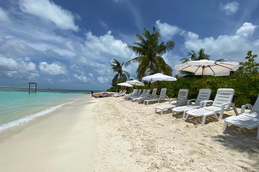 Photo of Others in Dhiffushi