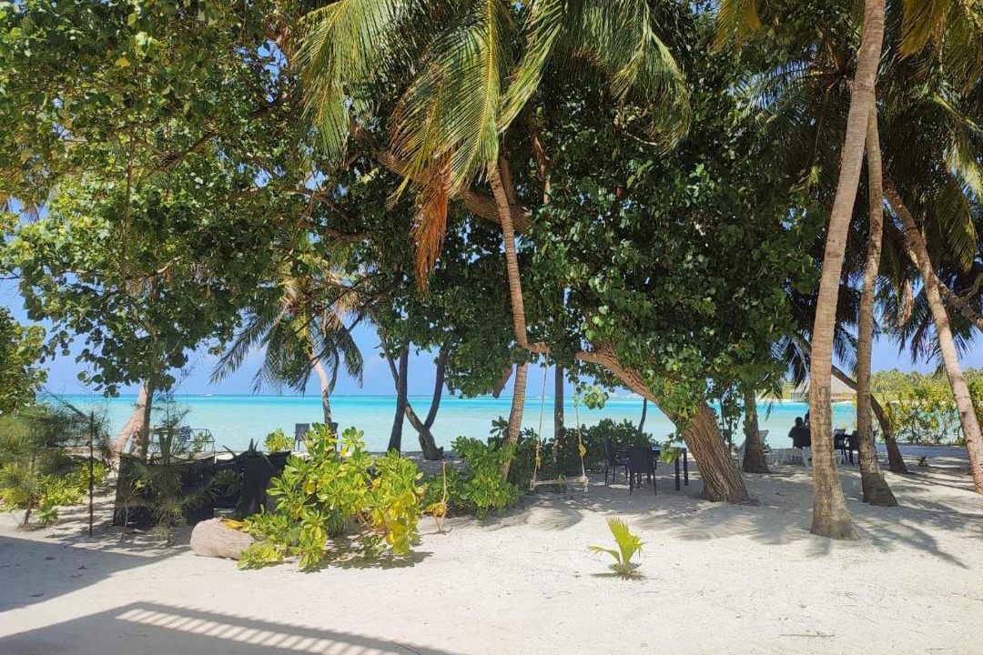 Photo of Others in Dhiffushi