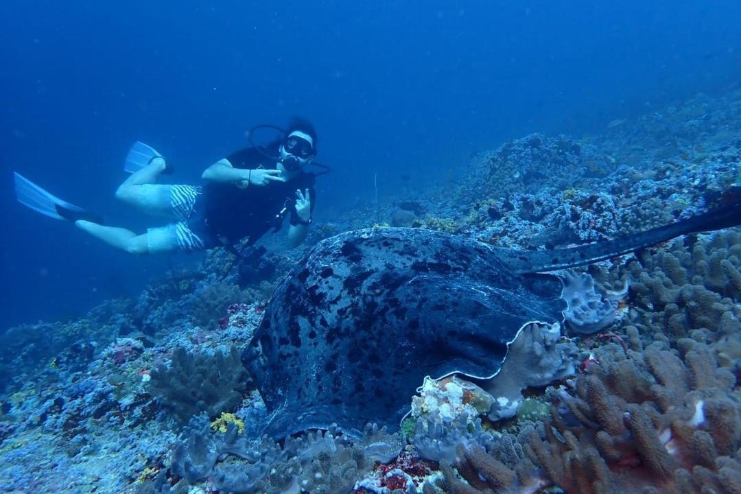 Photo of Others in Hanimaadhoo