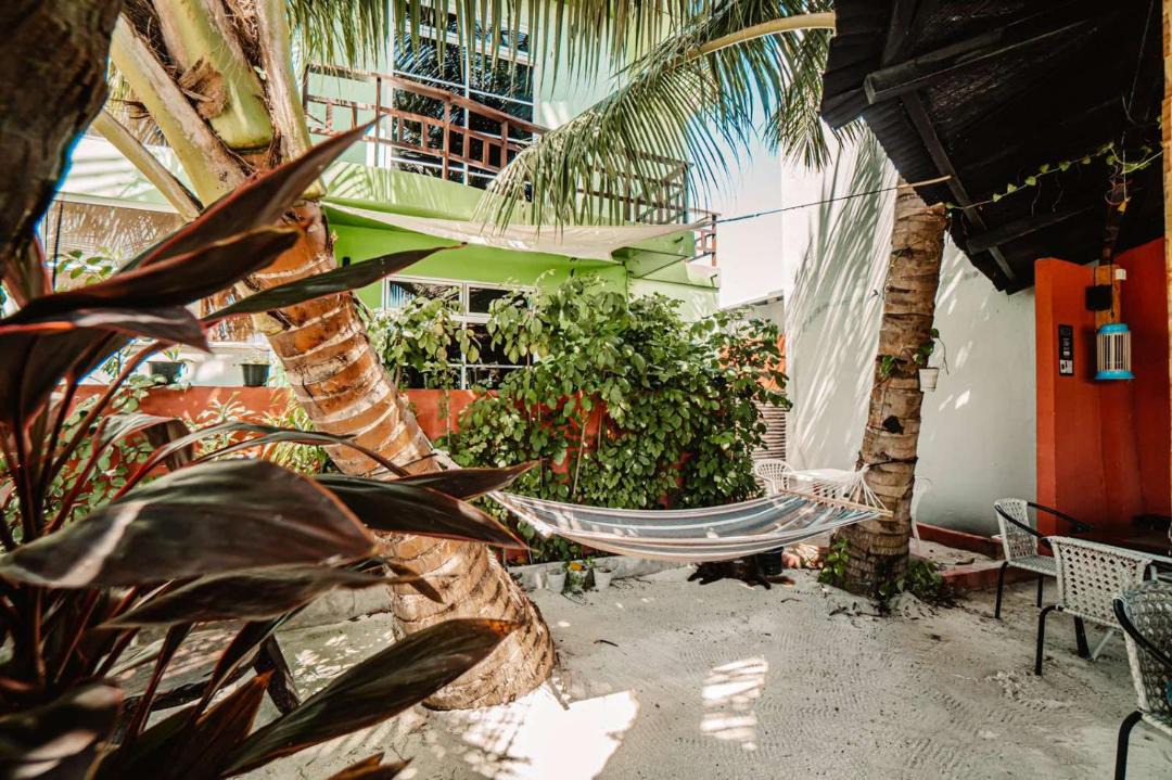 Photo of Others in Maafushi
